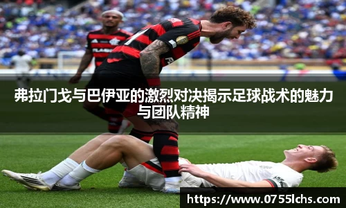 乐彩汇官网